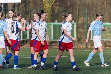 Bild 351 - F Hamburger SV 3 - Blau-Weiss 96 : Ergebnis: 5:1